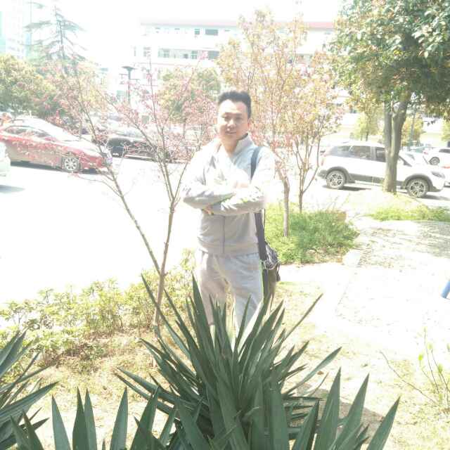 头像